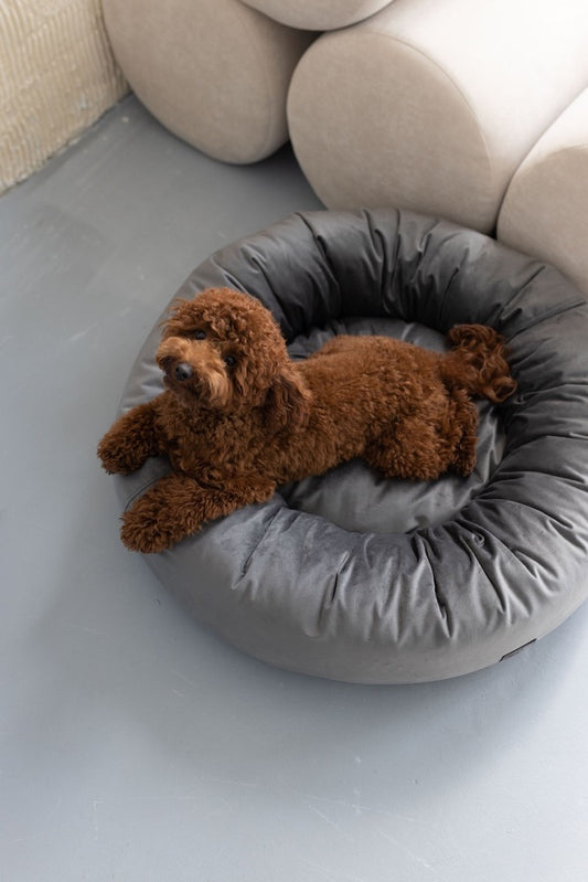 Aesthetic Mother's Day gift for pet, Dog bed small dogs, circle pet furniture stuffed perch