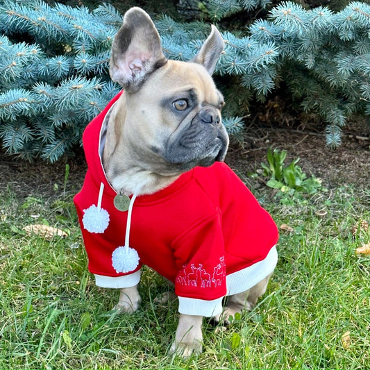 Christmas dog hoodie with embroidery, holiday red and green puppy winter Santa sweater, Christmas gift for pet small and large